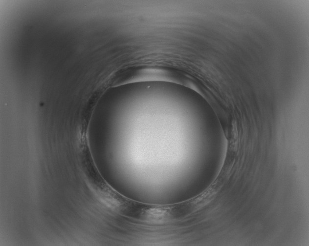 X0000073850176200608171042