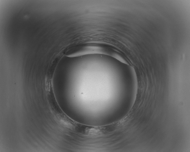 X0000073850180200608171042