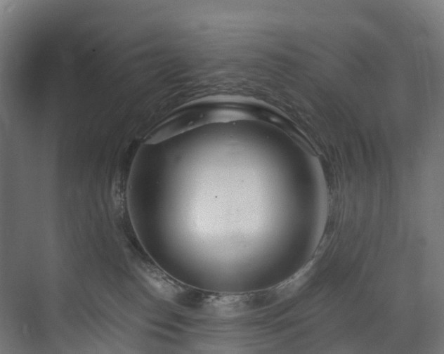 X0000073850186200608171042