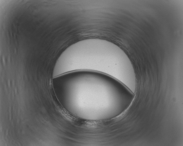 X0000073850190200608171042