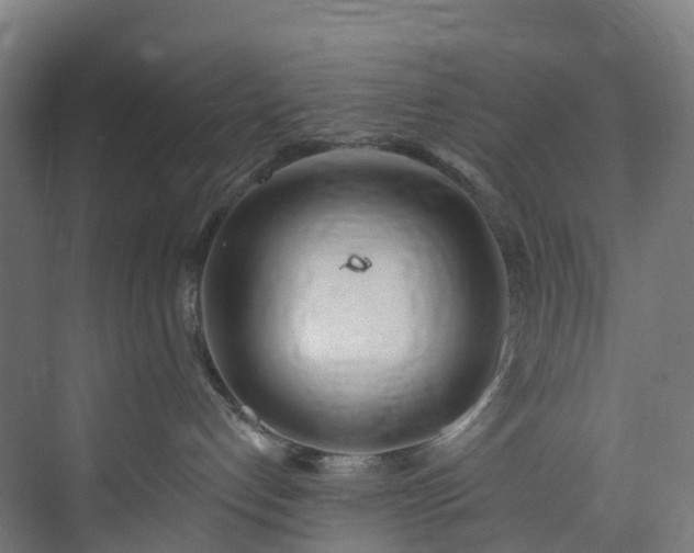 X0000073850192200608171042