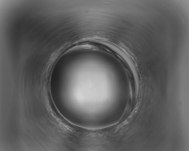 X0000073850193200608171041