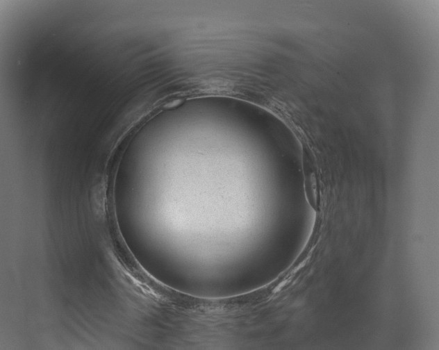 X0000073850194200608171041