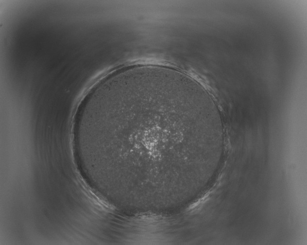 X0000073850199200608171041