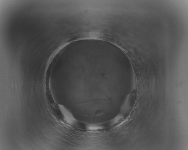 X0000073850200200608171041