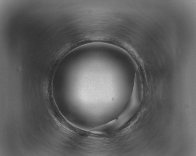 X0000073850201200608171041