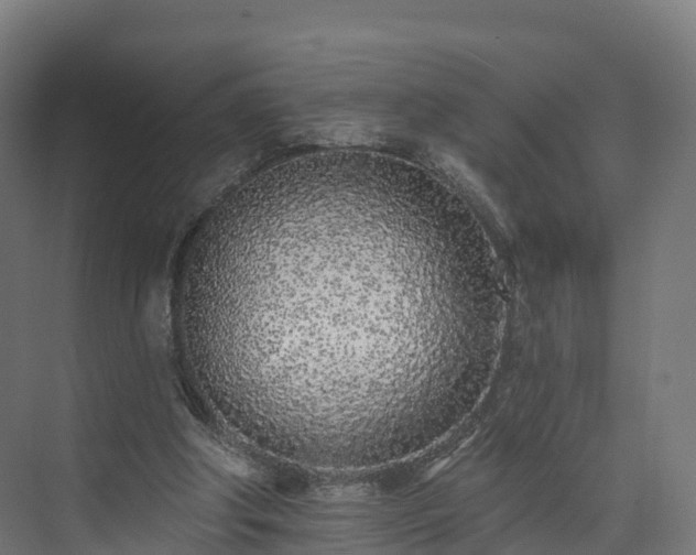 X0000073850202200608171041