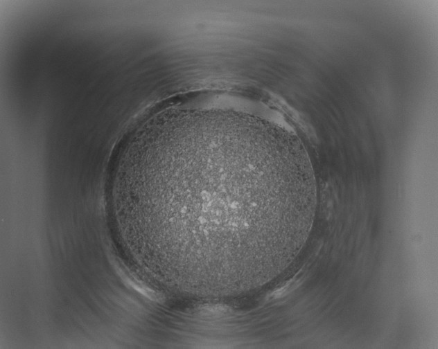 X0000073850203200608171041