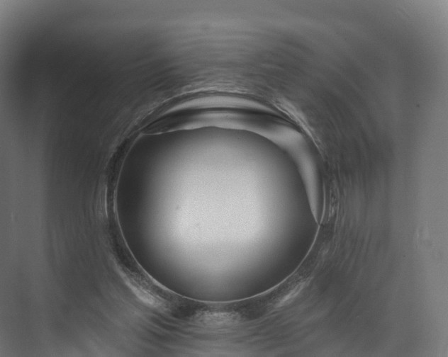 X0000073850205200608171041