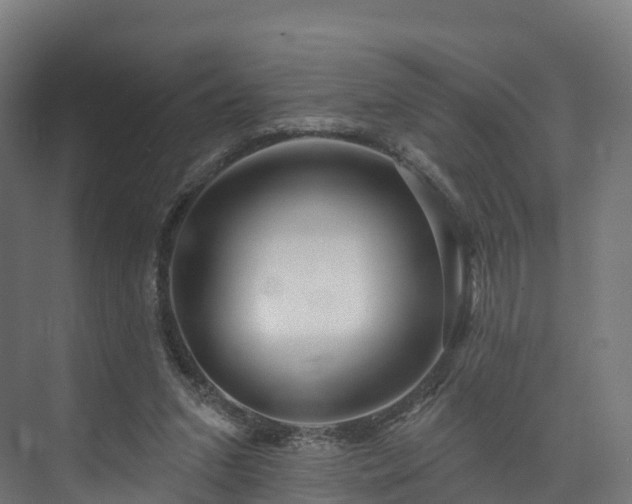 X0000073850207200608171041