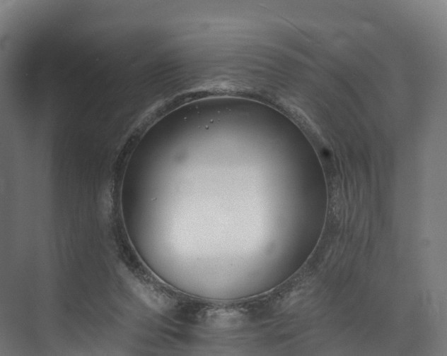 X0000073850208200608171041