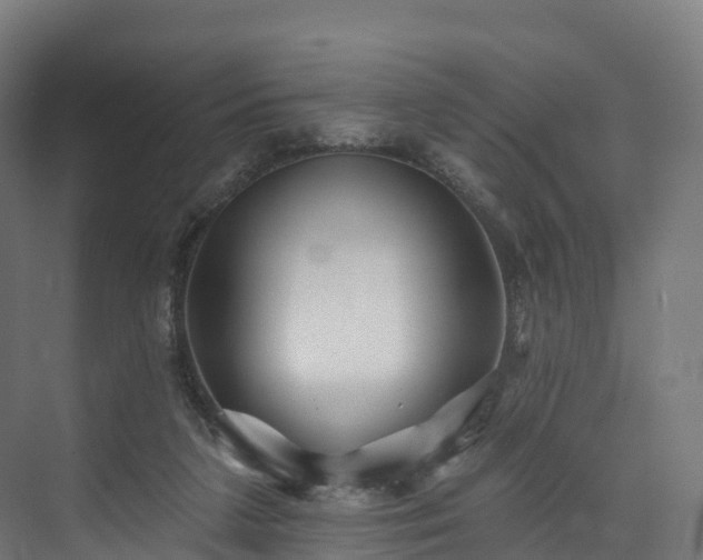 X0000073850211200608171041