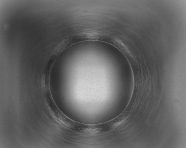 X0000073850213200608171041