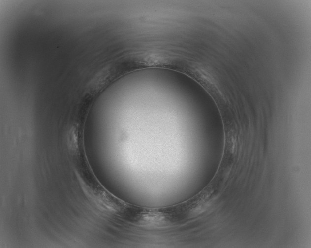 X0000073850214200608171041