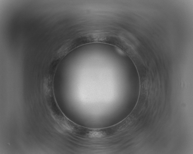 X0000073850218200608171041