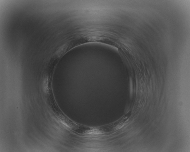 X0000073850219200608171041