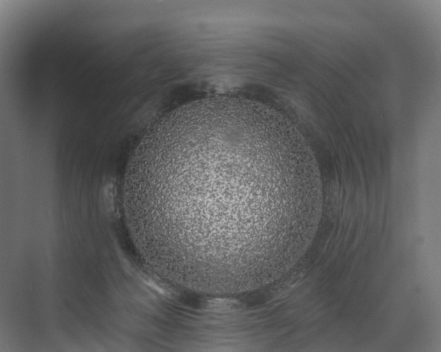 X0000073850222200608171041