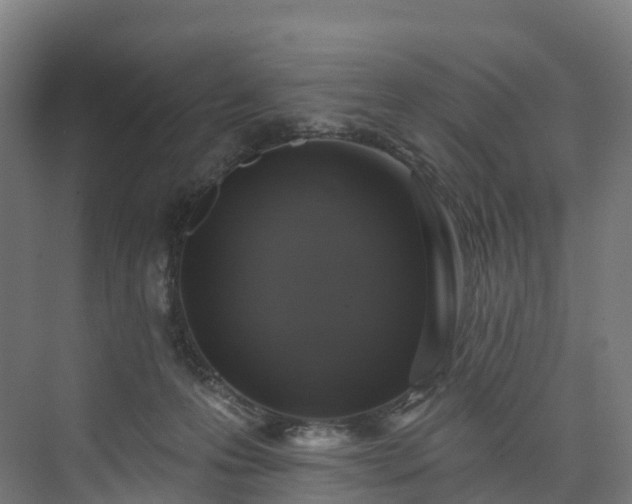 X0000073850223200608171041