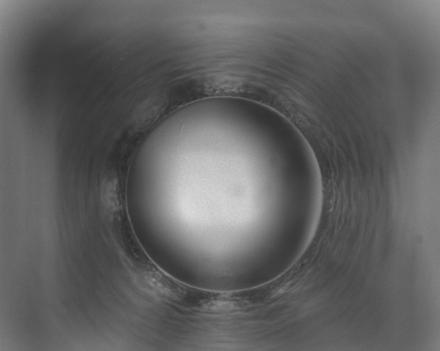 X0000073850224200608171041