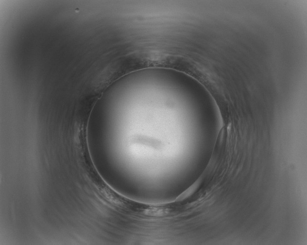 X0000073850225200608171041