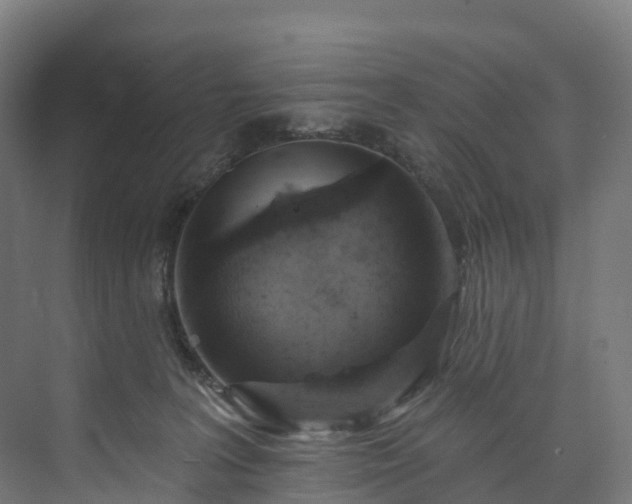 X0000073850227200608171041