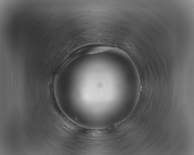 X0000073850229200608171041