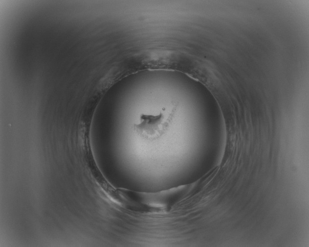 X0000073850231200608171041