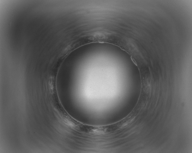 X0000073850232200608171041