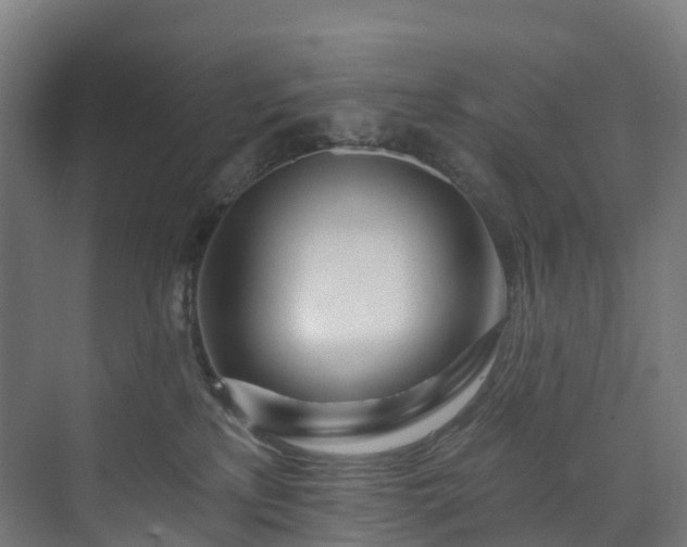 X0000073850233200608171041