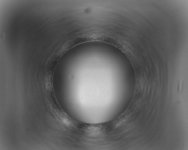 X0000073850236200608171041