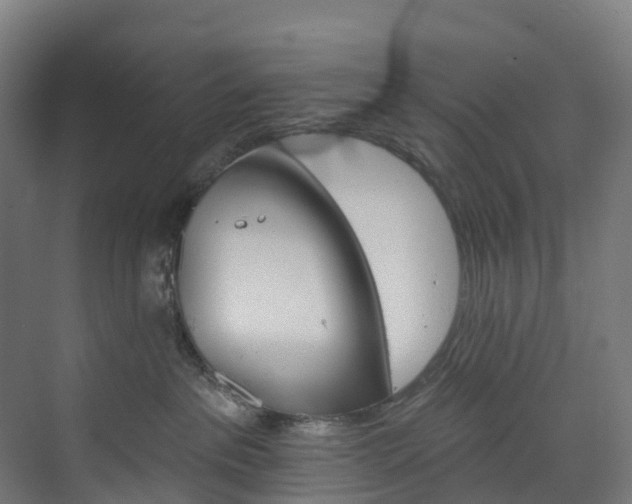 X0000073850237200608171041