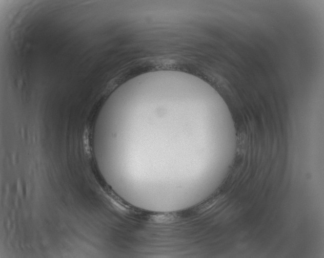 X0000073850238200608171041