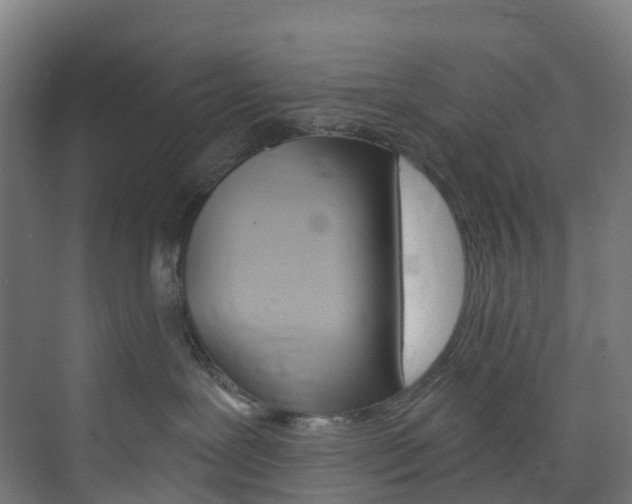 X0000073850239200608171041