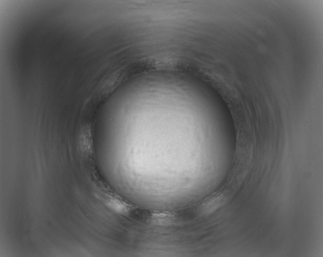 X0000073850240200608171041