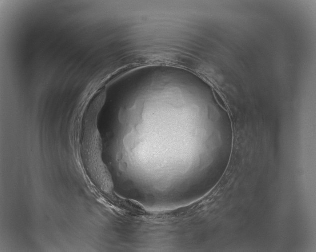 X0000073850241200608171040