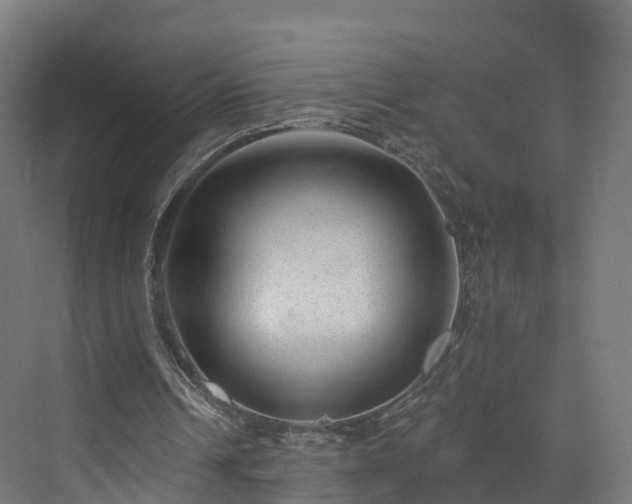 X0000073850242200608171040