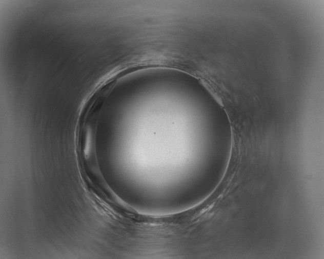 X0000073850244200608171040