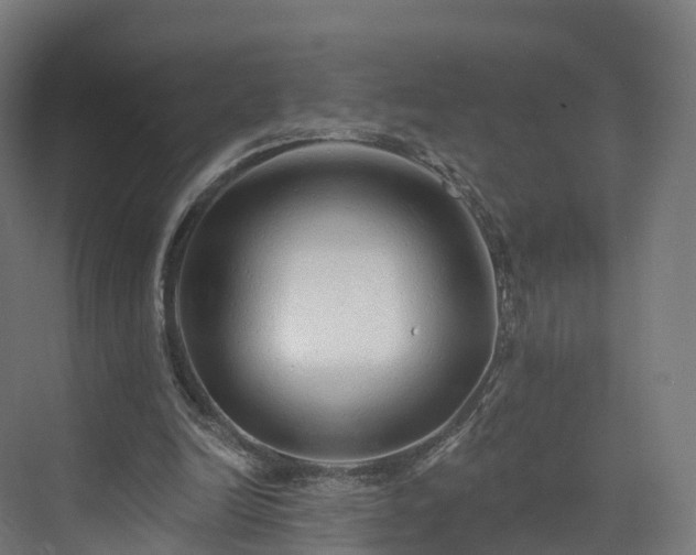 X0000073850246200608171040