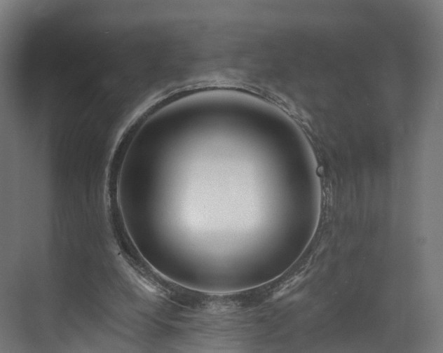 X0000073850248200608171040