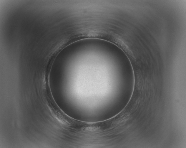 X0000073850251200608171040