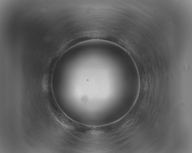 X0000073850255200608171040