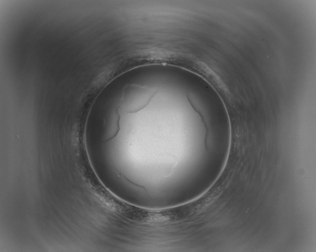 X0000073850257200608171040