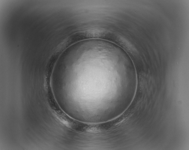 X0000073850258200608171040