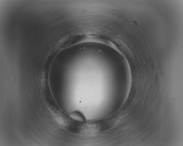 X0000073850260200608171040