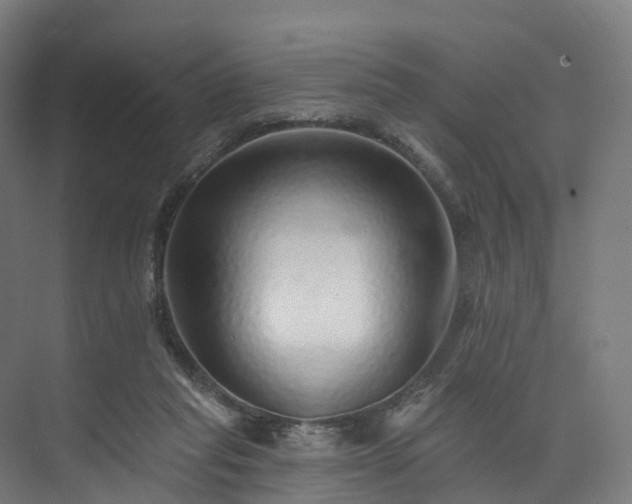 X0000073850261200608171040