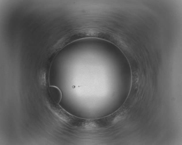 X0000073850262200608171040