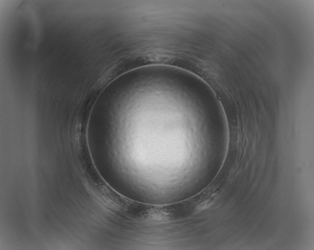 X0000073850263200608171040