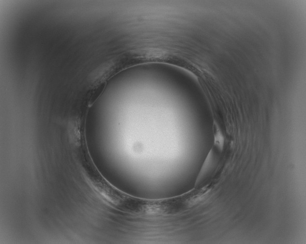 X0000073850264200608171040