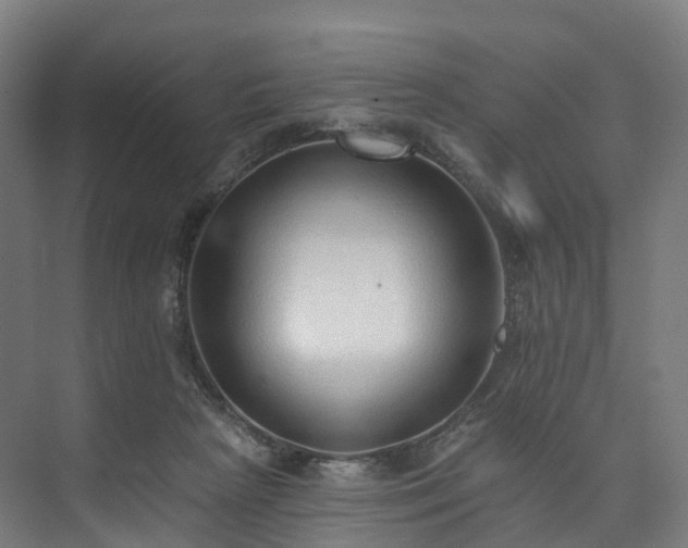 X0000073850265200608171040