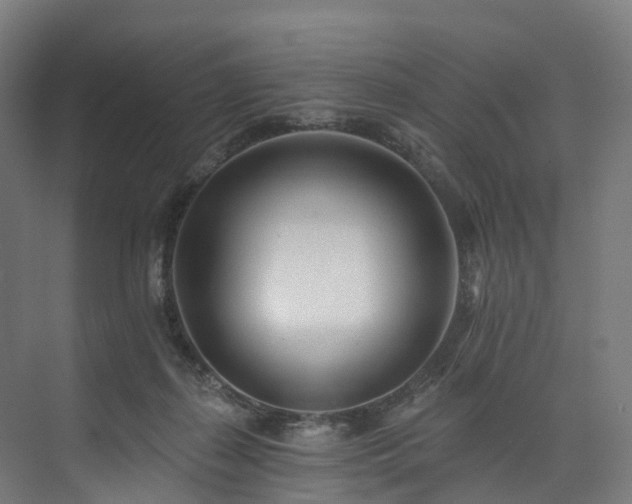 X0000073850267200608171040